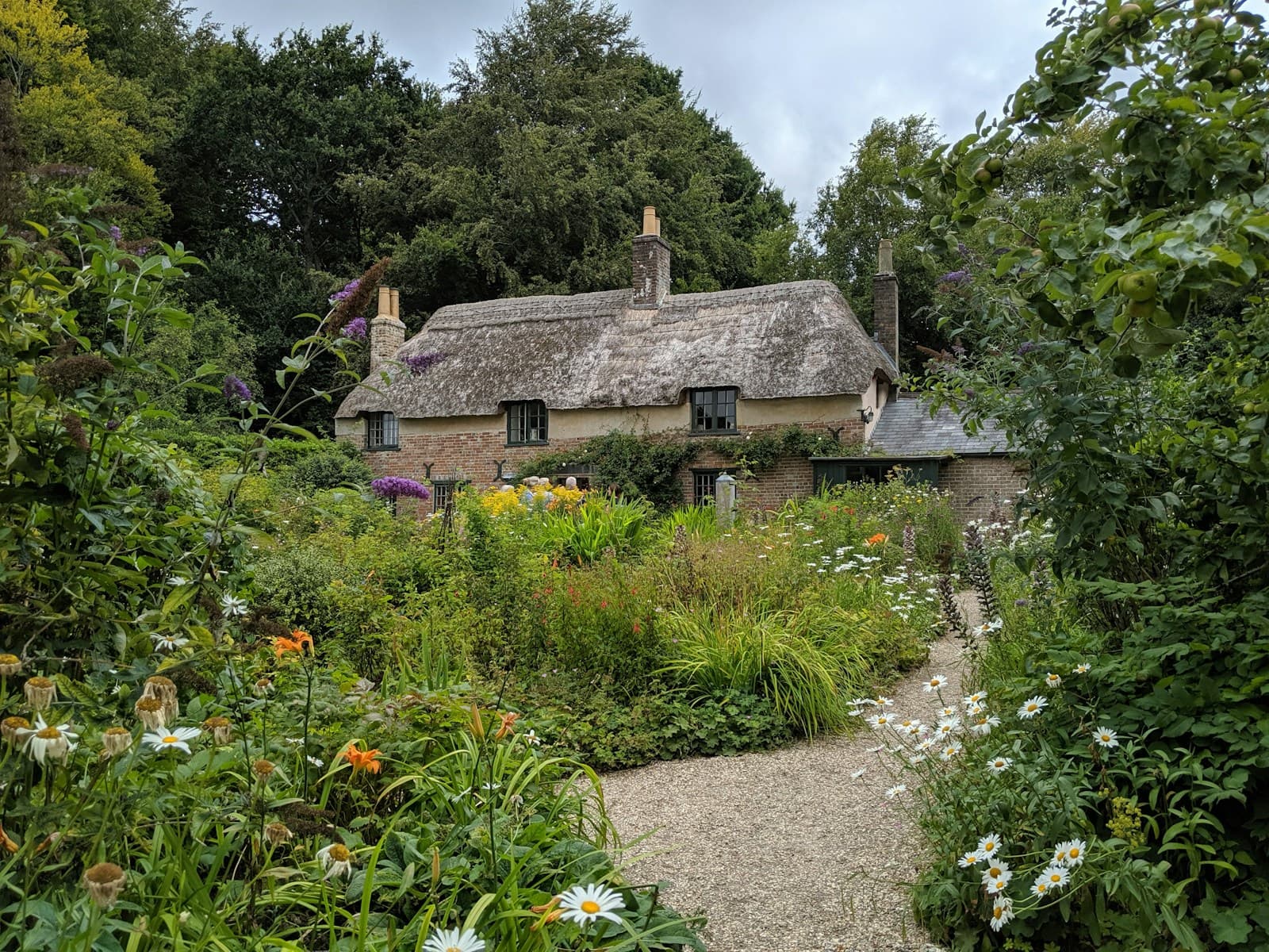 Une maison ancienne entourée de végétation et de fleurs
